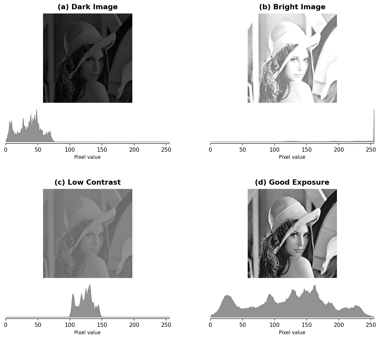 Four images with their histograms: dark (bunched left), bright (bunched right), low contrast (narrow peak), and good exposure (spread out)