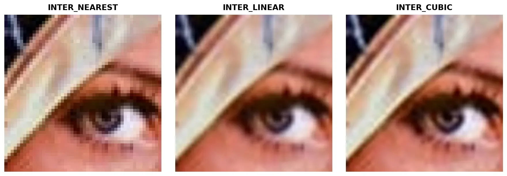 Comparison of nearest neighbor, bilinear, and bicubic interpolation when upscaling a small image crop