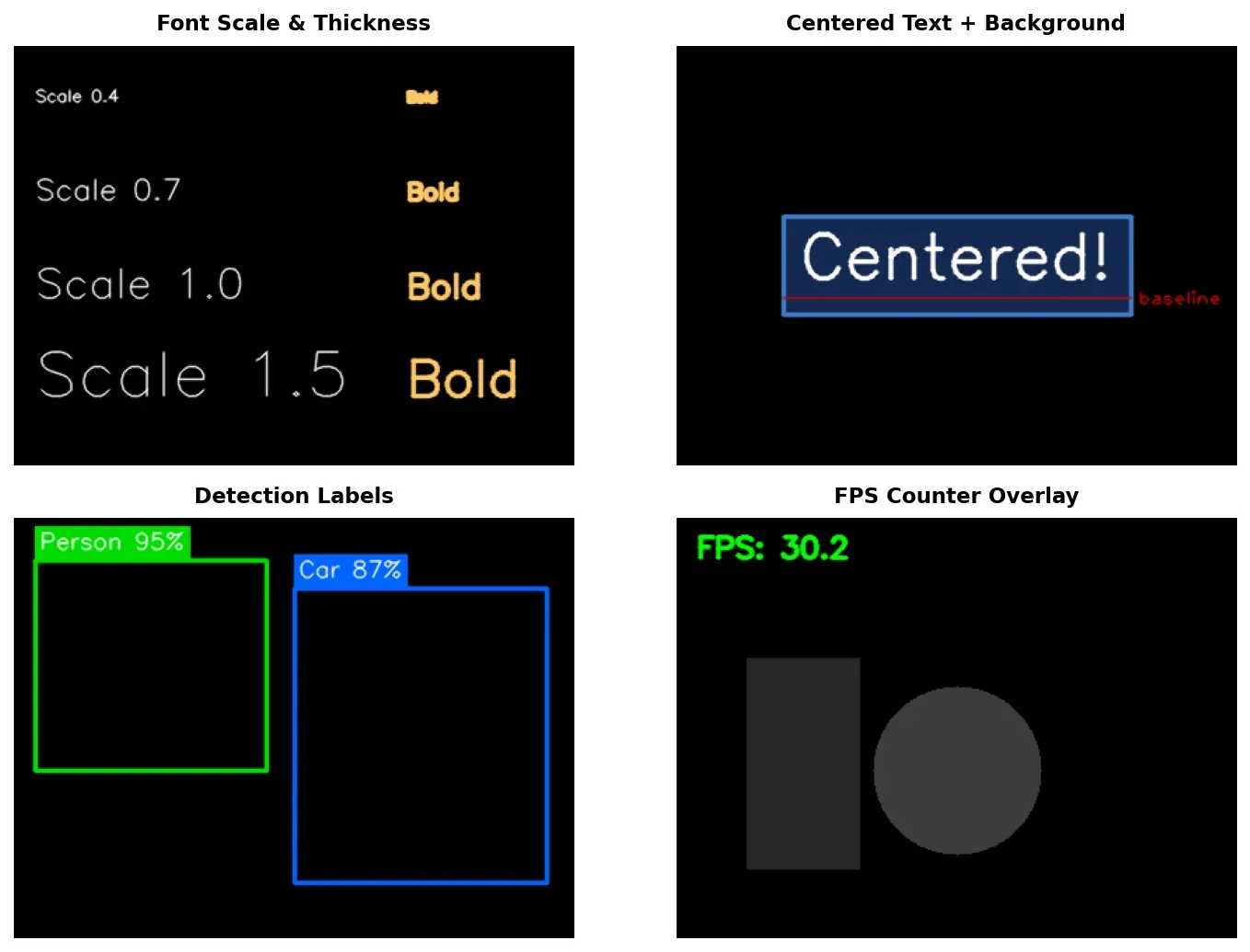 Text rendering features: font scaling, centered text with background, detection labels, and FPS overlay